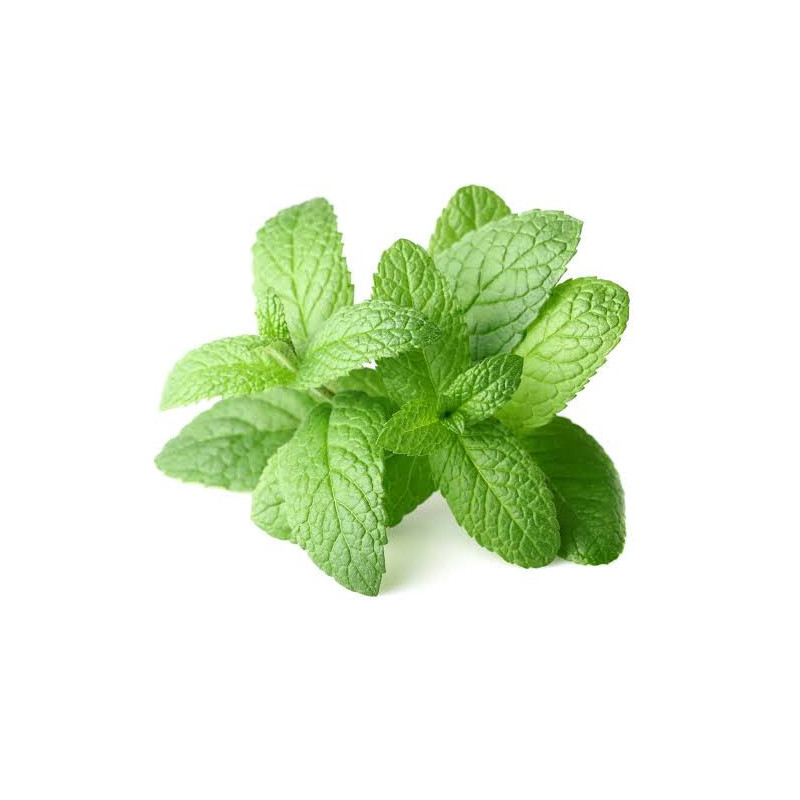 Huile essentielle biologique Menthe poivrée 10ml