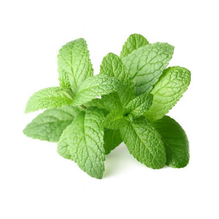 Huile essentielle biologique Menthe poivrée 10ml